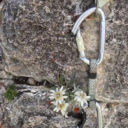 ホテル A Larze Le Châble