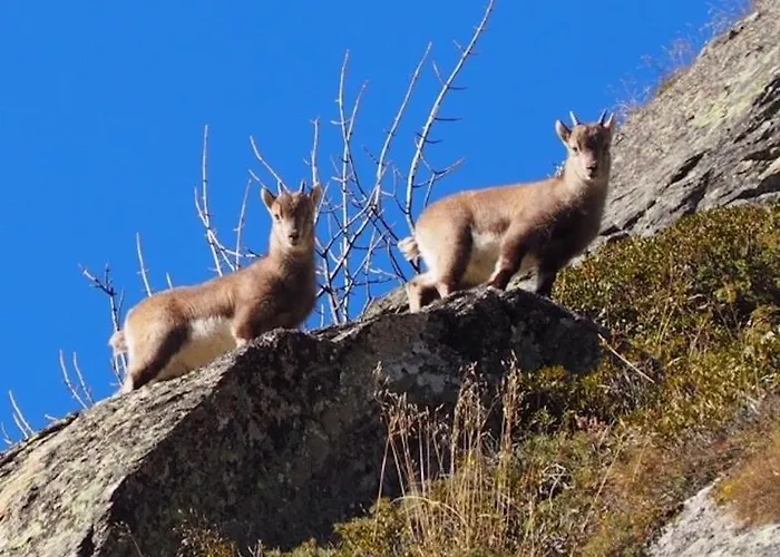 A Larze 3* Le Châble