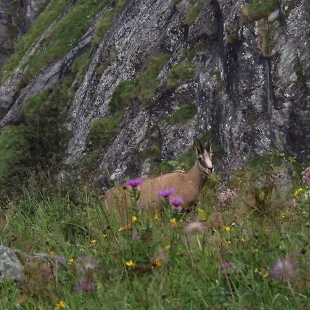 A Larze Szálloda 3*