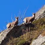 A Larze 3* Le Châble